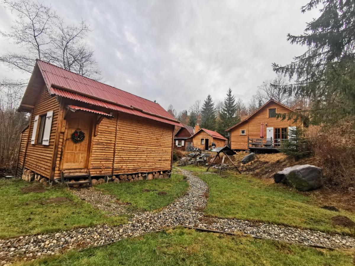 Homorod Lodge Бэйле-Хомород Экстерьер фото