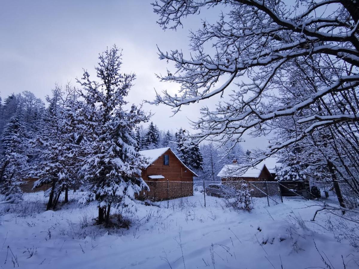 Homorod Lodge Бэйле-Хомород Экстерьер фото